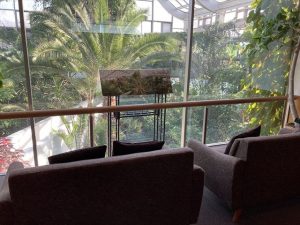熱帯雨林を再現 板橋区立熱帯環境植物館 車椅子利用ガイド バリアフリー情報 車いすお出かけガイド