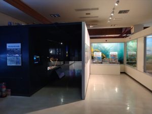 観音崎自然博物館